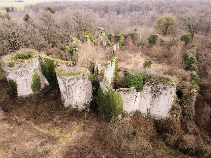 Chateau de Montaiguillon, France